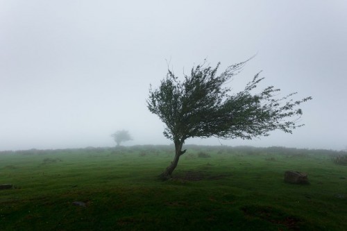 Ostrzeżenie meteorologiczne: Burze - 2 stopień