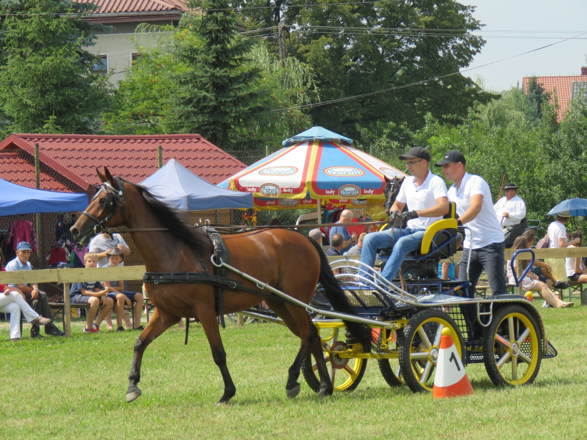 X Galicyjski Konkurs Powożenia Zaprzęgami Konnymi w Ujanowicach - już za nami!