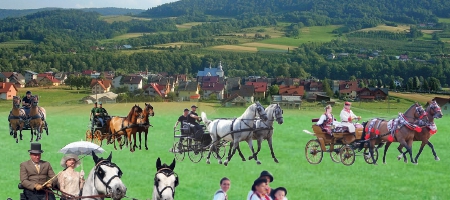XI GALICYJSKI KONKURS Powożenia Zaprzęgami Konnymi