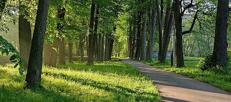 Oświetlenie parku dworskiego