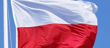 Wyniki w wyborach do Sejmu i Senatu w gminie Laskowa
